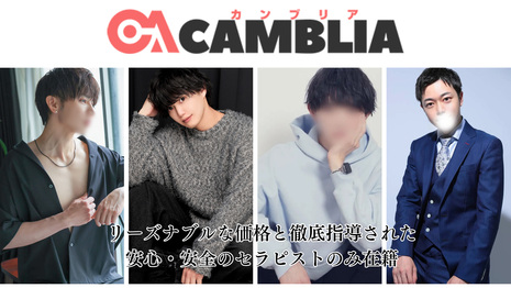 カンブリア（camblia）