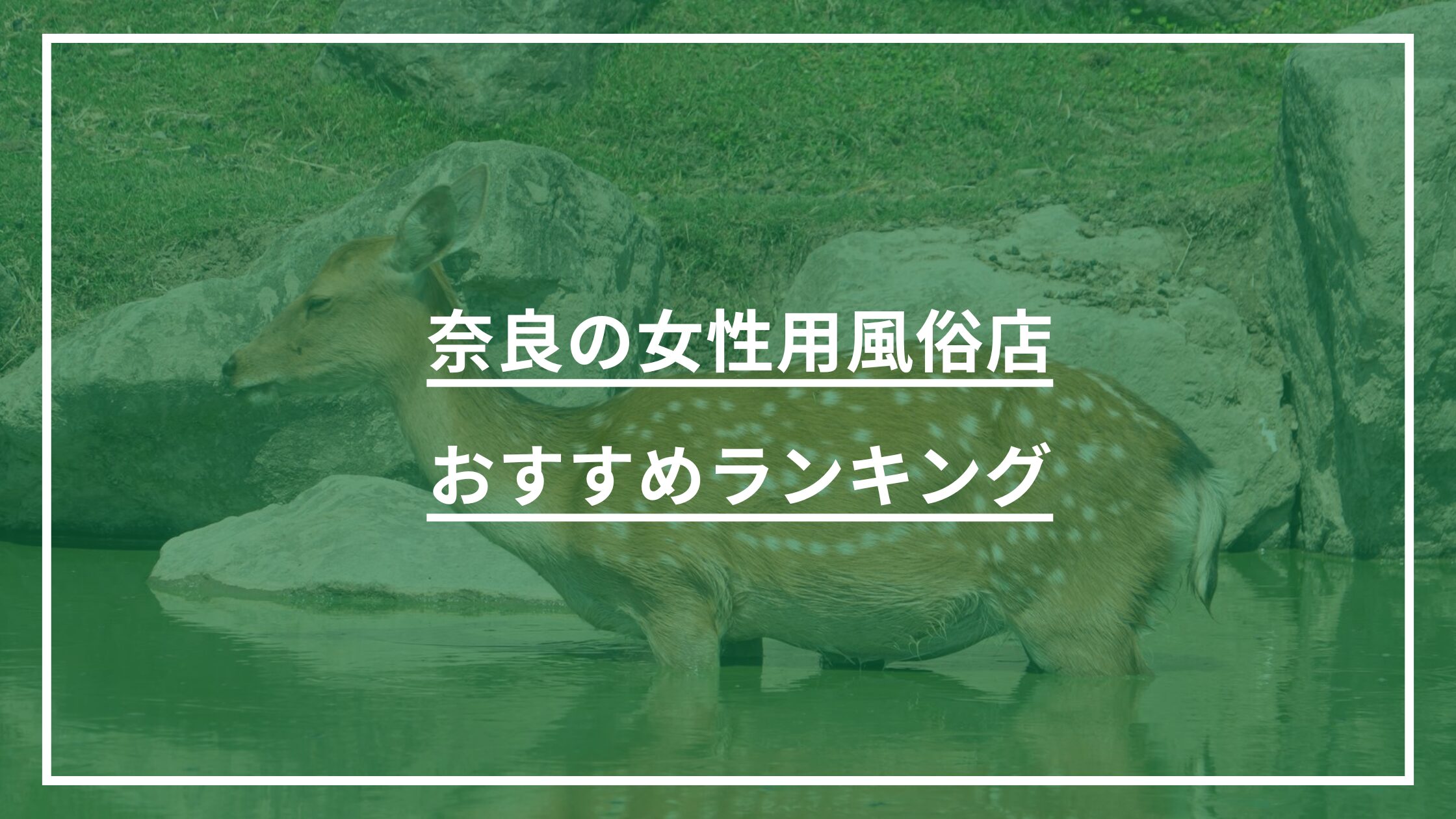 奈良の女性用風俗店おすすめランキング